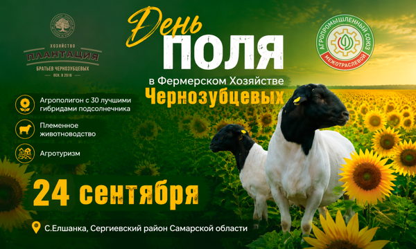ДЕНЬ ПОЛЯ В ФЕРМЕРСКОМ ХОЗЯЙСТВЕ ЧЕРНОЗУБЦЕВЫХ