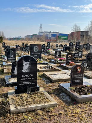 Лекция «Кладбище домашних животных»