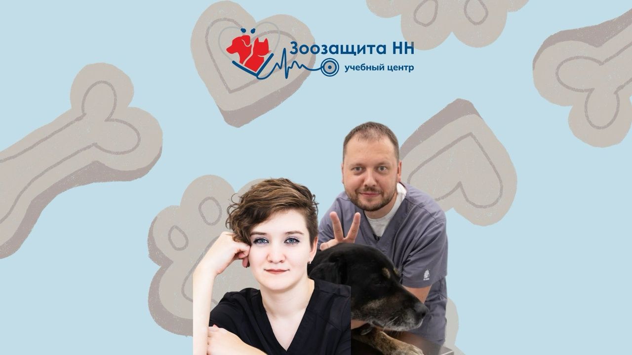 Интенсив по гастроэнтерологии. Полный курс