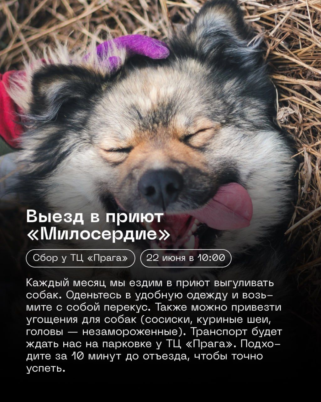 Выезд в приют | АрхИНФ