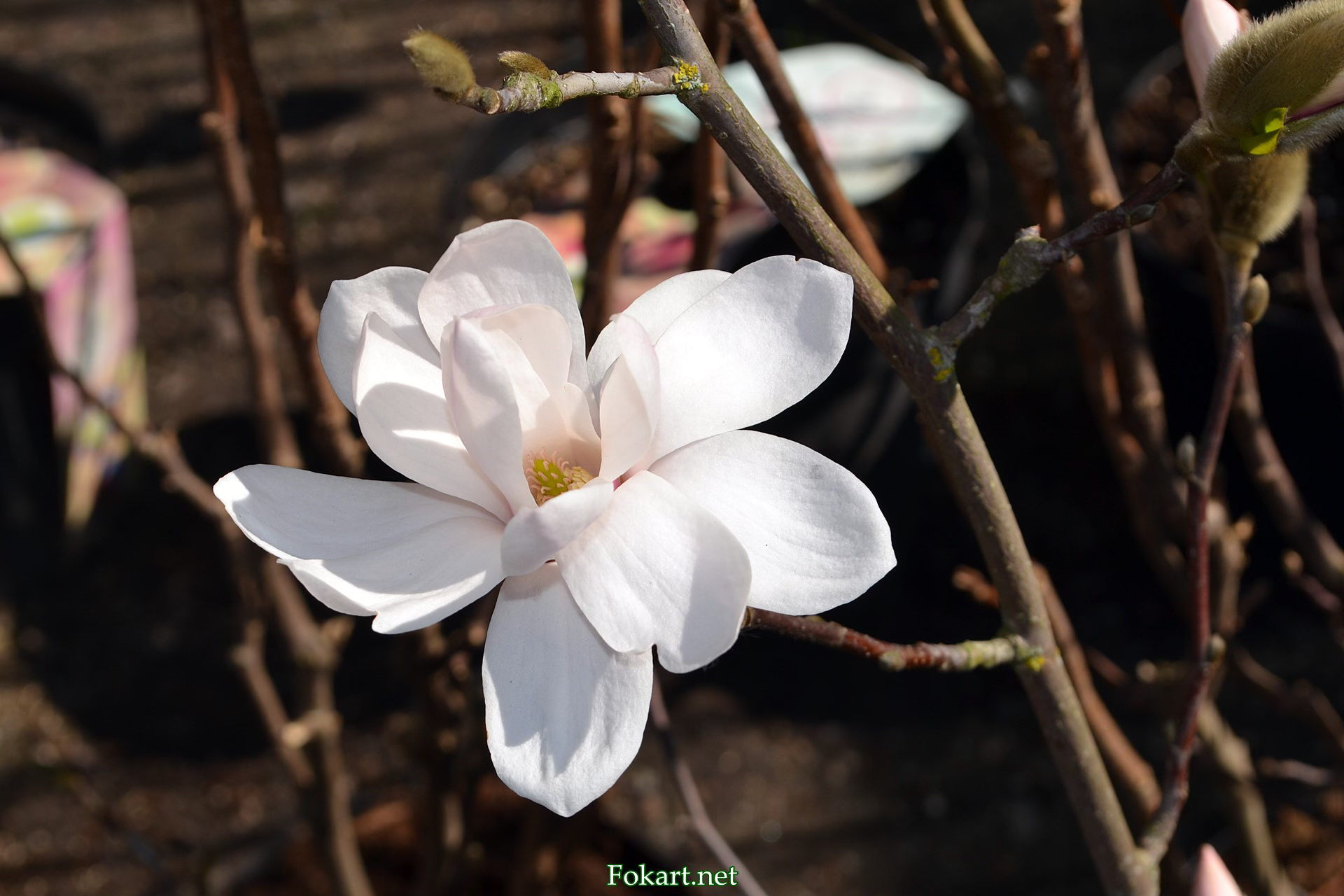 Мартовский выпуск: кофейная вечеринка
