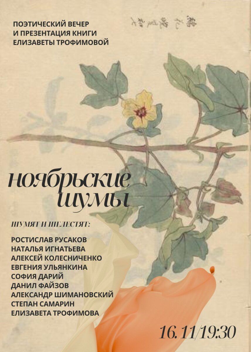 Поэтический вечер и презентация книги Елизаветы Трофимовой «Ноябрьские шумы»