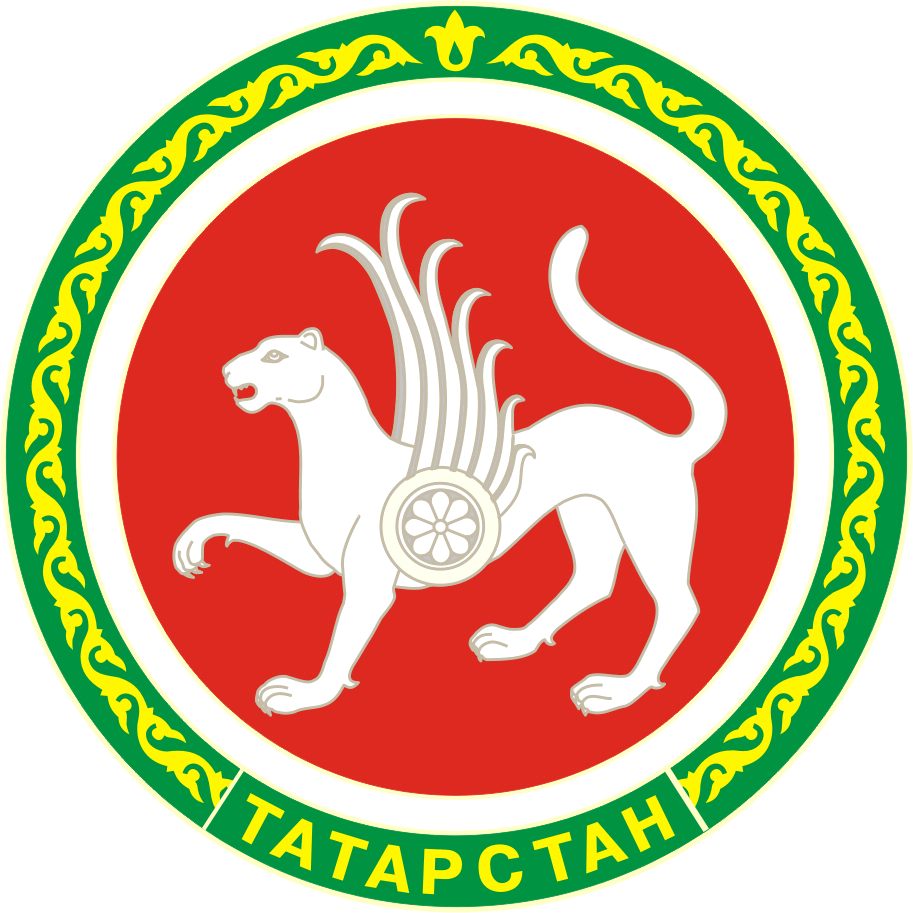 Правительство РТ