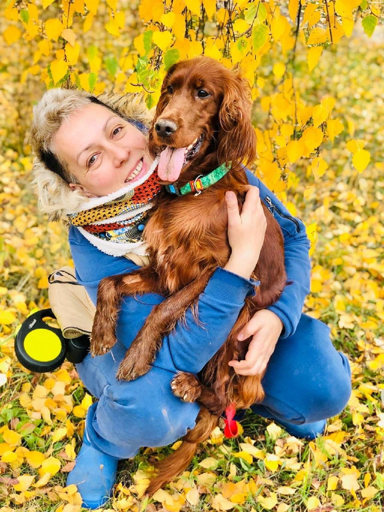 "Золотой час с сеттером"