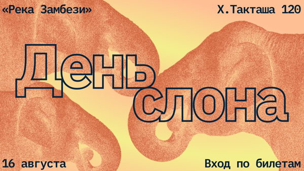 День слона в Казанском зооботсаду