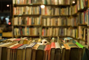 О людях и книгах