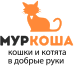 Муркоша