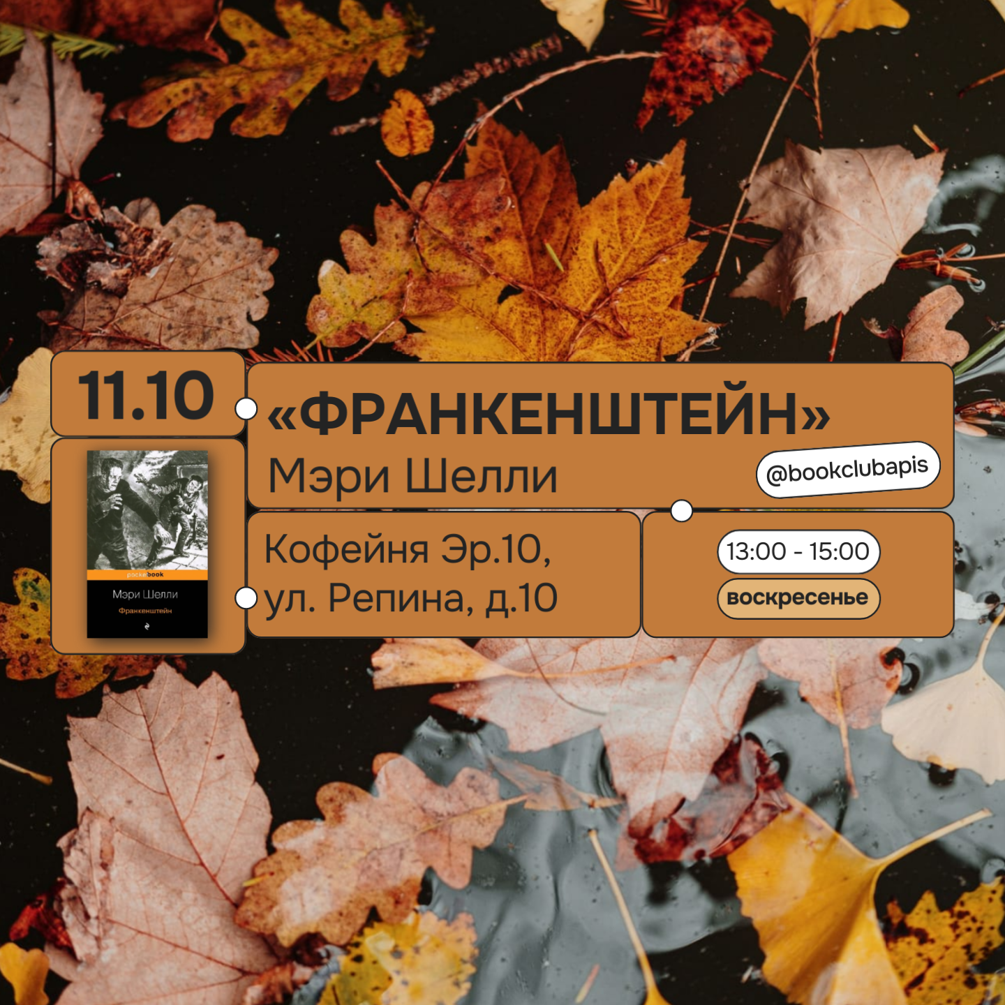 Встреча Книжного клуба APiS