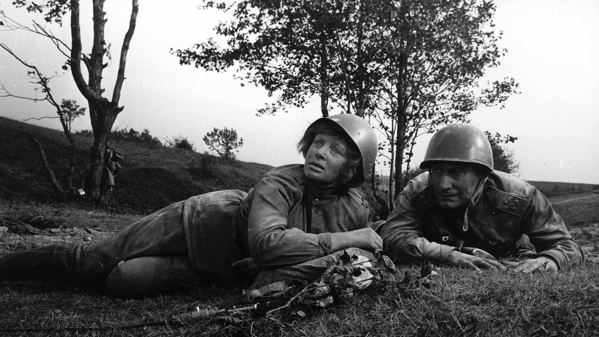 Фильм «Дикий мёд», 1966 г. (к/т «Иллюзион», Большой зал)