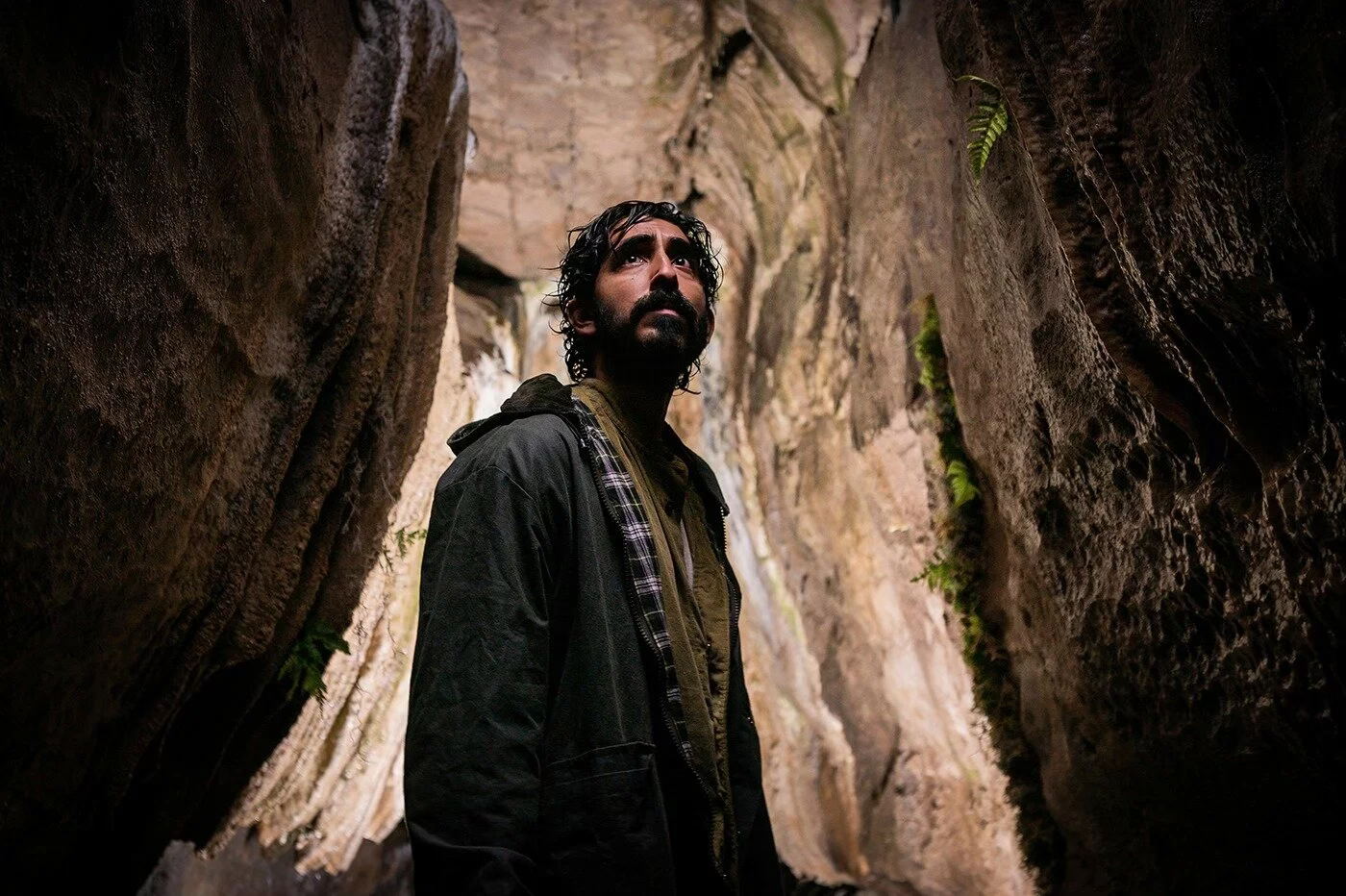 Ловушка для кролика