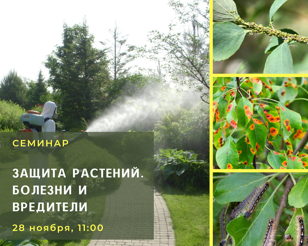 «Защита растений - болезни и вредители»