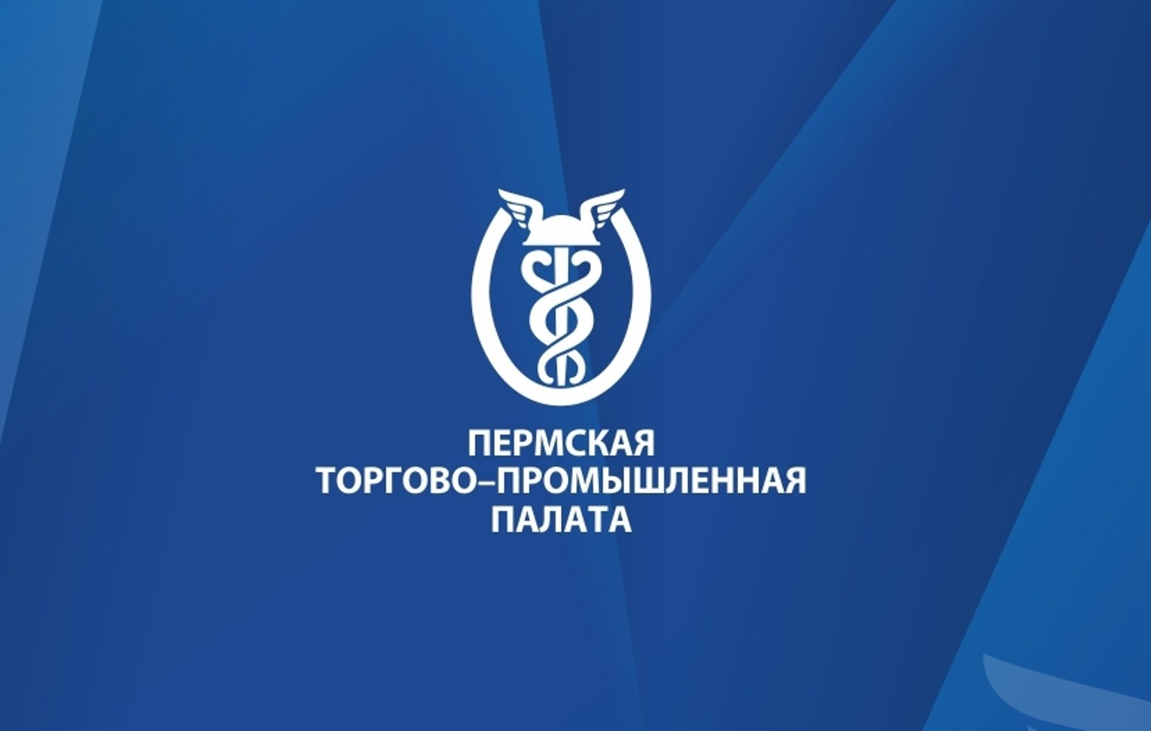 Как легально структурировать бизнес. Разбор практических кейсов