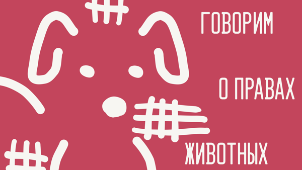 Говорим о правах животных