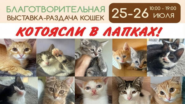 Выставка-раздача "Котоясли в Лапках"