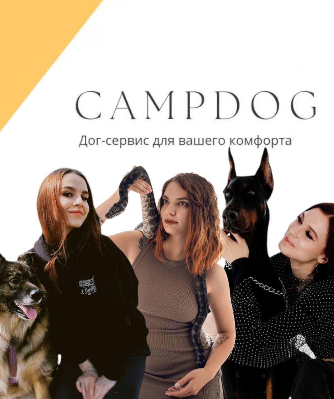 День рождения Campdog