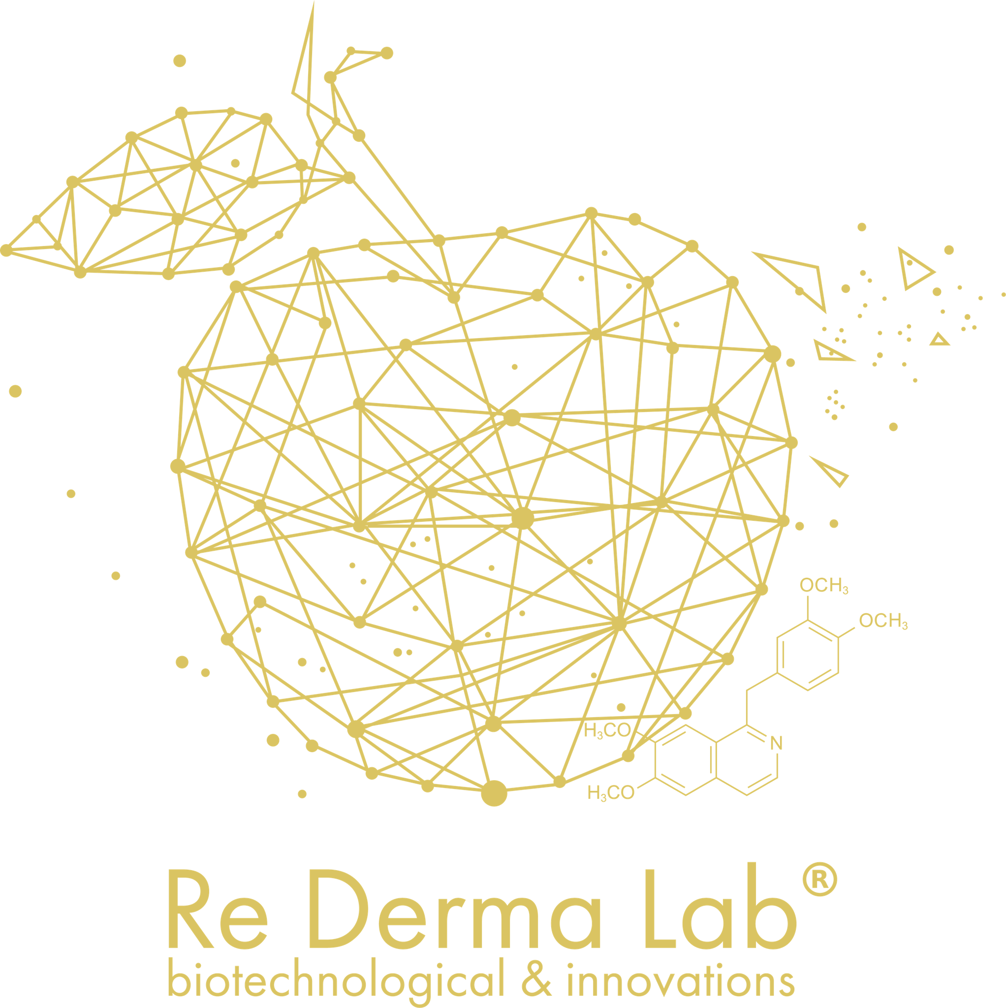 Re derma lab