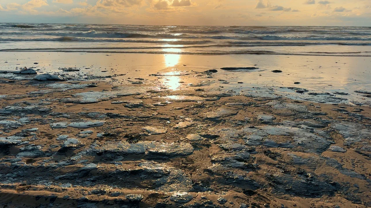 Показ короткометражного фильма "Чёрное Чёрное море"