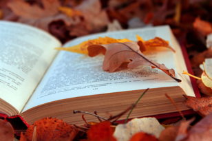 Листьев бумажных шорох осенний. Книговорот