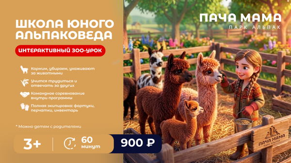 Школа юного альпаковеда