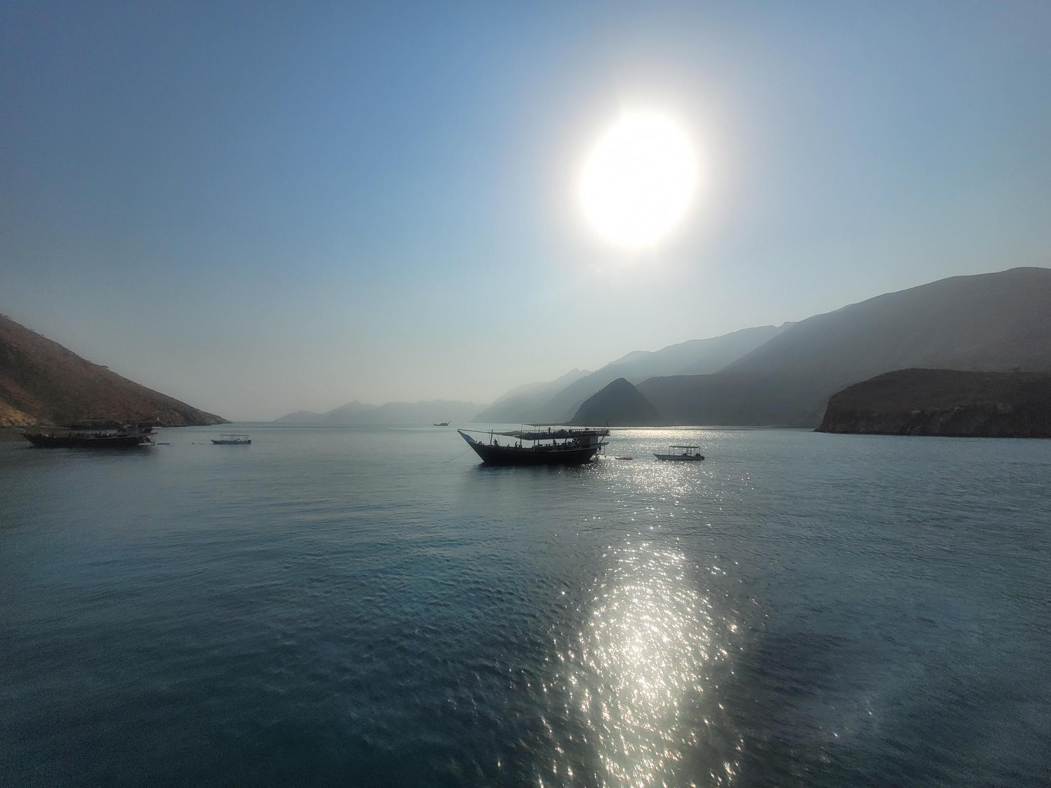 Открытый онлайн арт тренинг «Животное в комфортной среде»: познайте себя через образ и цвет