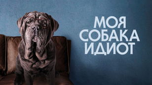 Кино на Василеостровском рынке: «МОЯ СОБАКА ИДИОТ"
