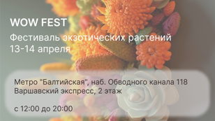 WOW Fest