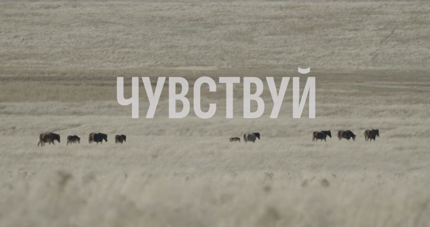 Кинопоказ «Чувствуй»