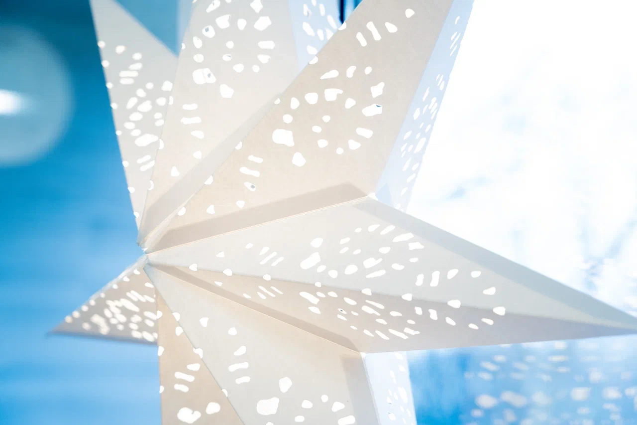 Сияешь? Сияю! | Цех юннатов