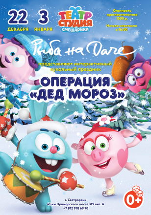 Большой семейный новогодний праздник со «Смешариками» 3 января
