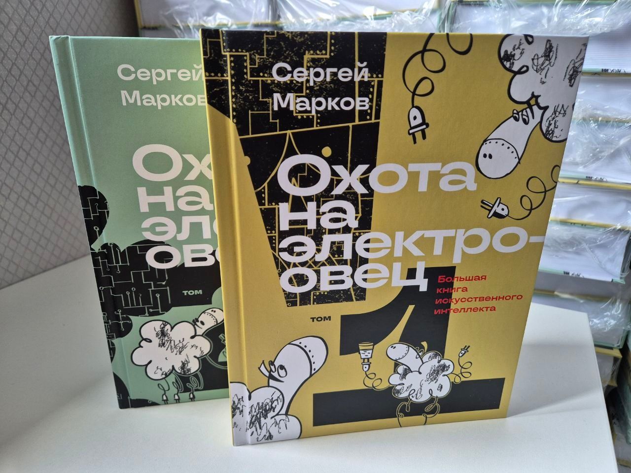 Лекция Сергея Маркова в рамках презентации книги «Охота на электроовец: большая книга искусственного интеллекта»