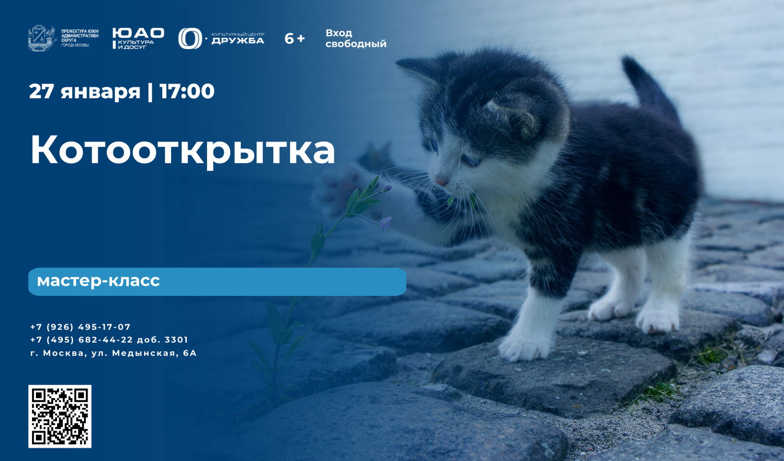 Котооткрытка