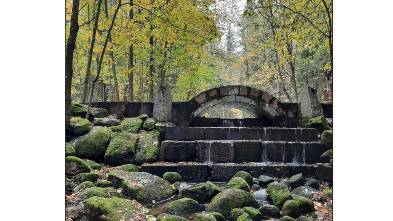 Бесплатная экскурсия-прогулка по волшебному парку Сергиевка