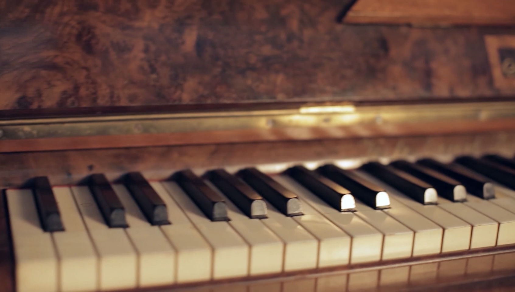 Приют роялей