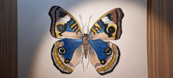 Мастер-класс по корейской живописи Минхва. Создание картины-талисмана "Бабочки мечты"