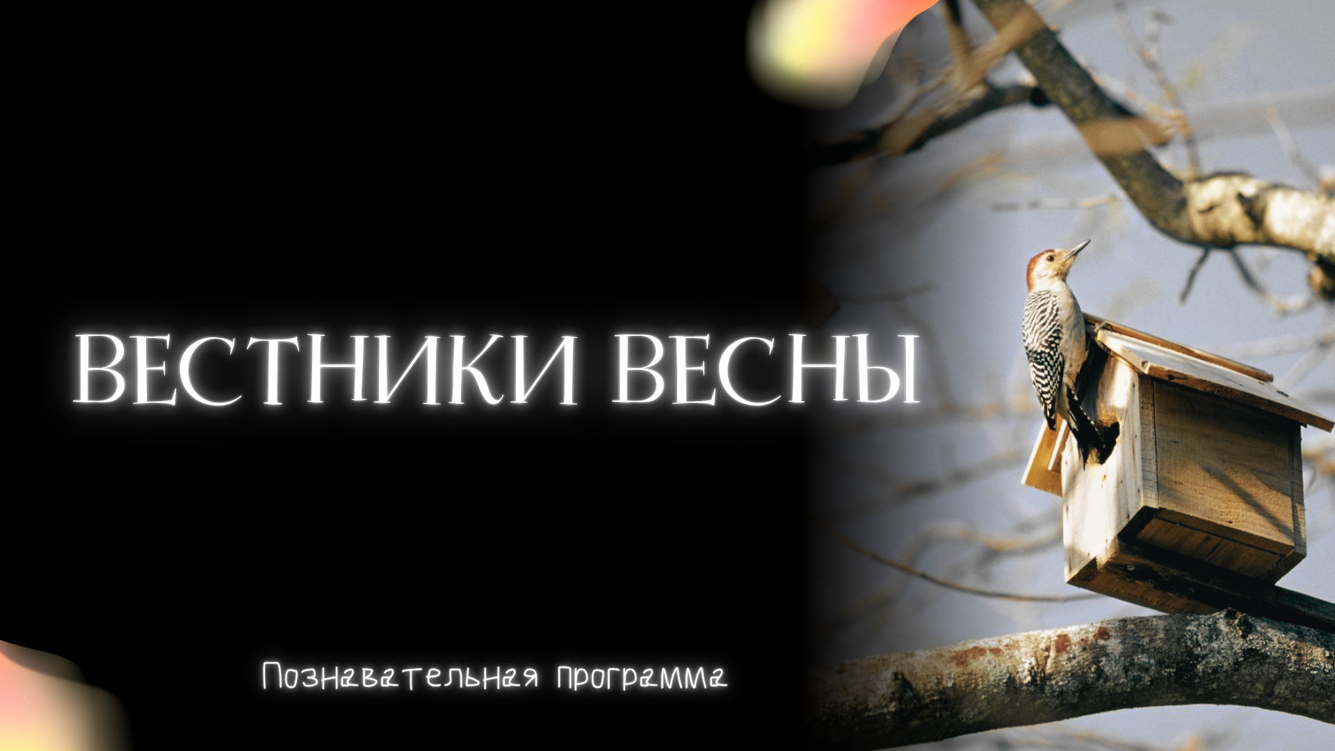Вестники весны