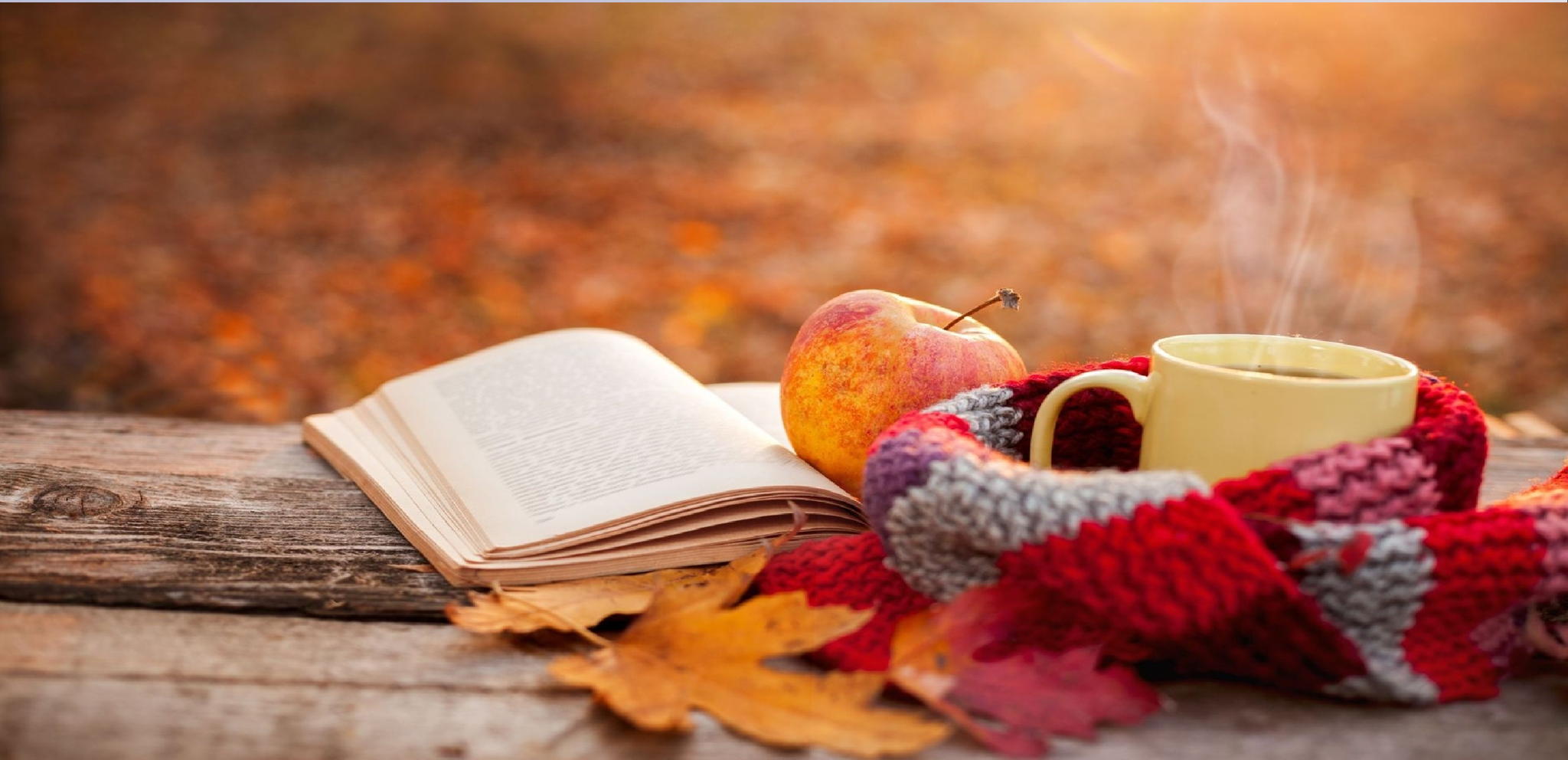 КНИЖНЫЙ СВОП + КНИЖНЫЙ КЛУБ