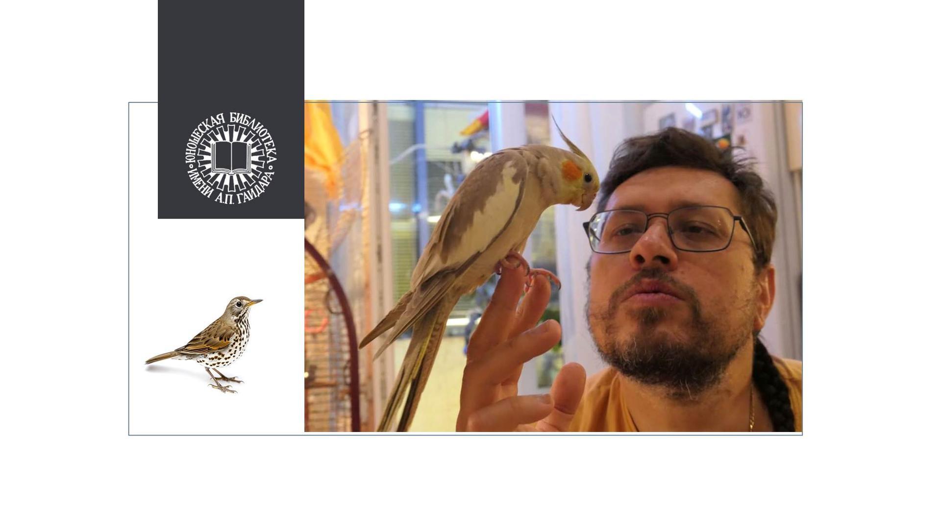 Презентация книги Виталия Симуткина «Дрозды»