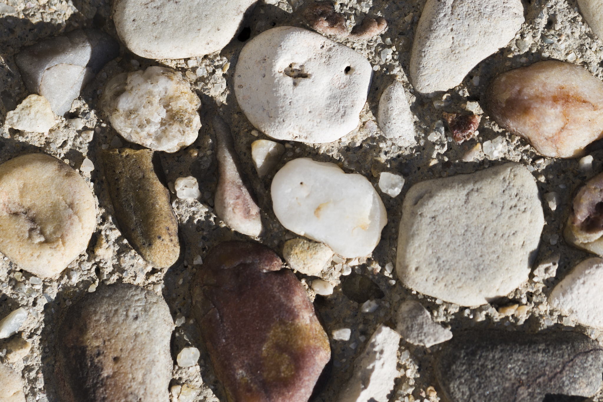 Мастер-класс для учителей «Как найти окаменелость у себя под ногами?»