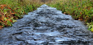 Лекция «Петергофская водоподводящая система»