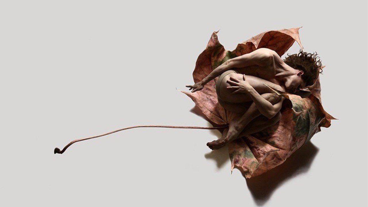 Вернисаж выставки "ГЕРБАРИУМ"