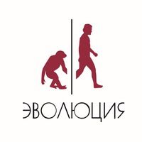 Просветительский фонд "Эволюция"