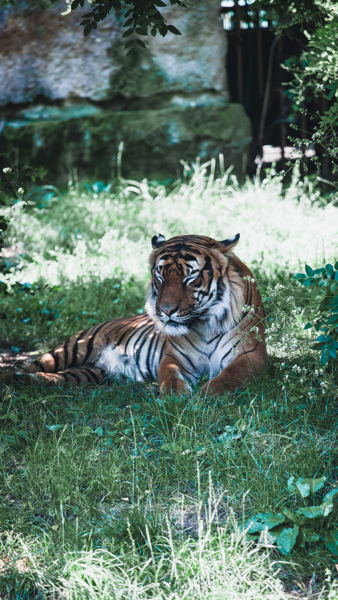МАСТЕР-КЛАСС | «ЖИВАЯ ПЛАНЕТА»