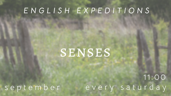 English Expedition | 11:00