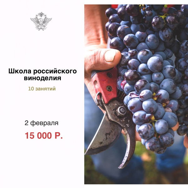Школа российского вина