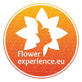 Независимая цветочная онлайн платформа Flower Experience
