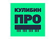 Кулибин Про
