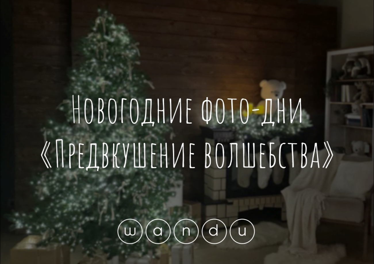 Предвкушение волшебства. Новогодние фото-дни WANDU