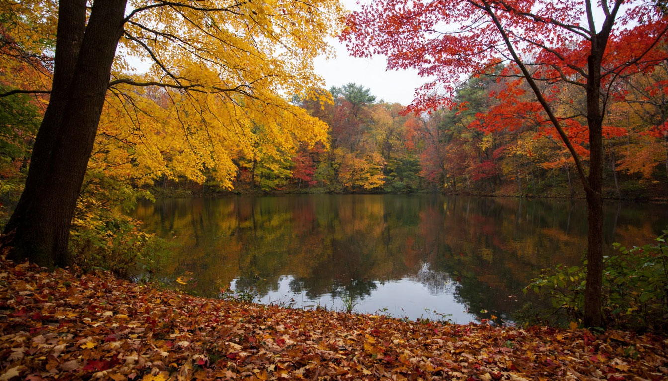 Тематическое занятие «Как работает заповедник? в экоцентре «Экошкола Кусково»