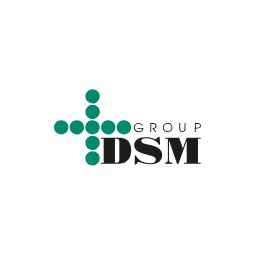 Информационный партнер – DSM Group