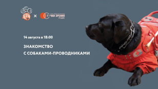 Знакомство с собаками-проводниками